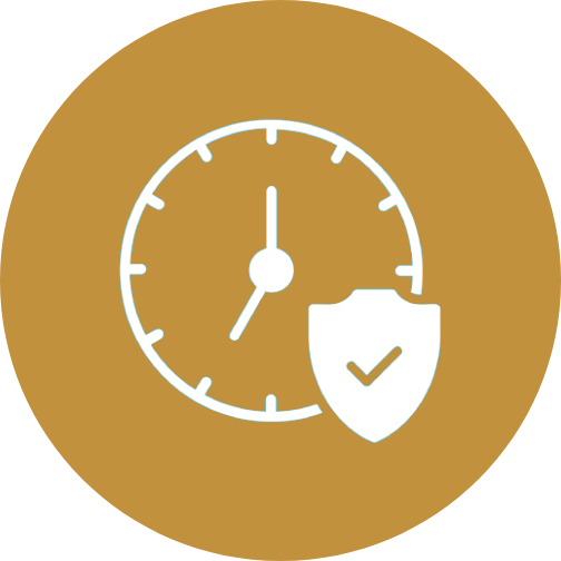 Clock with security shield